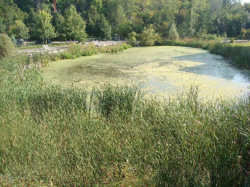 Western Michigan [2009] 199.JPG - Scenes from Frederik Meijer Gardens & Sculpture Park.
